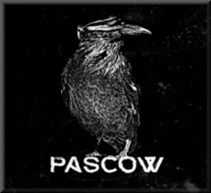 Pascow - Diene der Party (Audio CD)